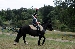 DSC_1592.jpg