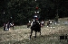 DSC_1663.jpg