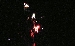 DSC_2187.jpg