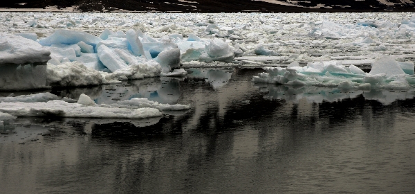 DSC_0348.jpg