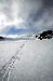DSC_0512.jpg