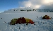 DSC_0601.jpg
