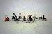 DSC_0696.jpg
