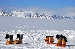 DSC_0797.jpg