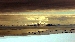DSC_1001.jpg