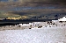 DSC_1077.jpg