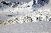 DSC_1090.jpg