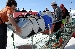 DSC_1184.jpg