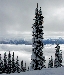DSCN4841.jpg