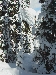 DSCN4915.jpg