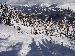 DSCN4940.jpg