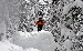 DSC_3450.jpg