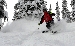 DSC_3461.jpg