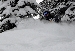 DSC_3466.jpg