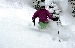 DSC_3533.jpg