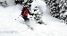 DSC_3555.jpg