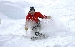 DSC_3611.jpg
