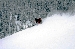 DSC_3625.jpg